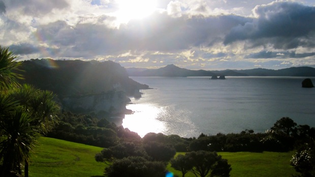 Beautiful NZ coast