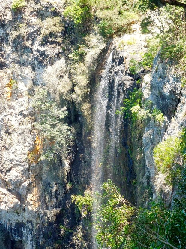 Waterfall Springbrook