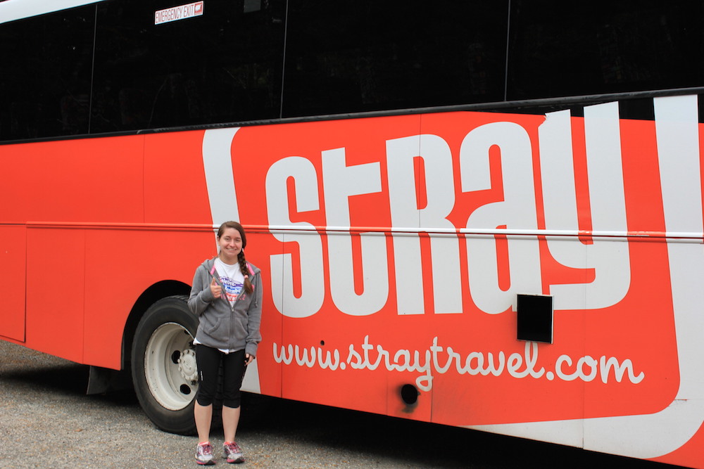 Photo of me with the Stray bus