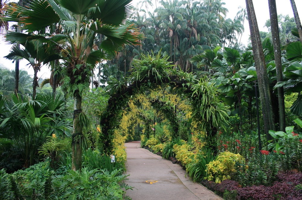 Singapore Botanical Gardens (cc license, JoshuaEckert)