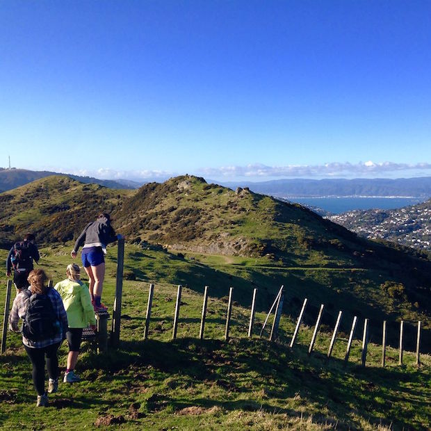 My friends and I doing the Skyline Walk. In the background you can see the breathtaking views of Wellington.