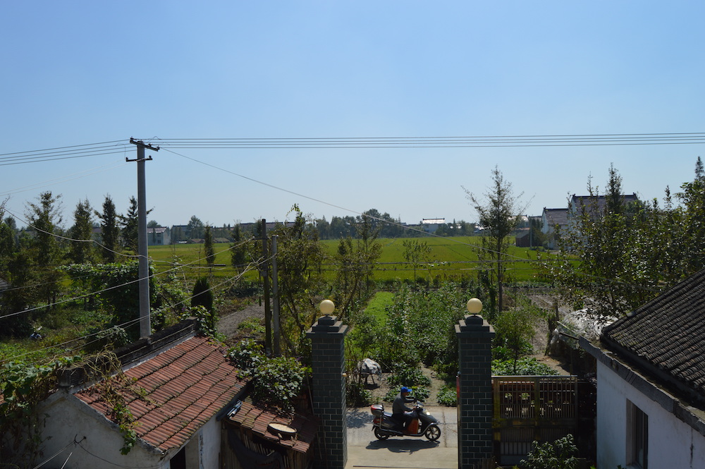 The view from my friend’s grandparent’s house over the fields of their village. 