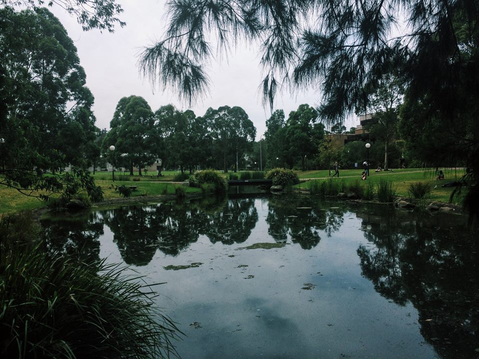 University of Wollongong