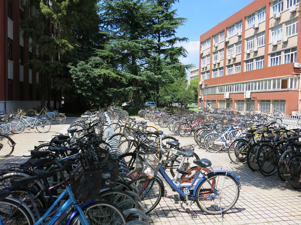 Bikes parked on-campus at Fudan University 