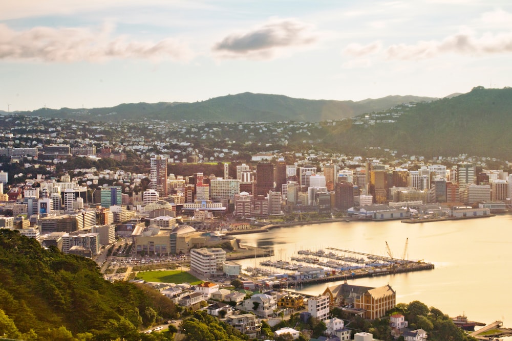 View from Mt. Victoria, looking down on the city of Wellington, New Zealand 