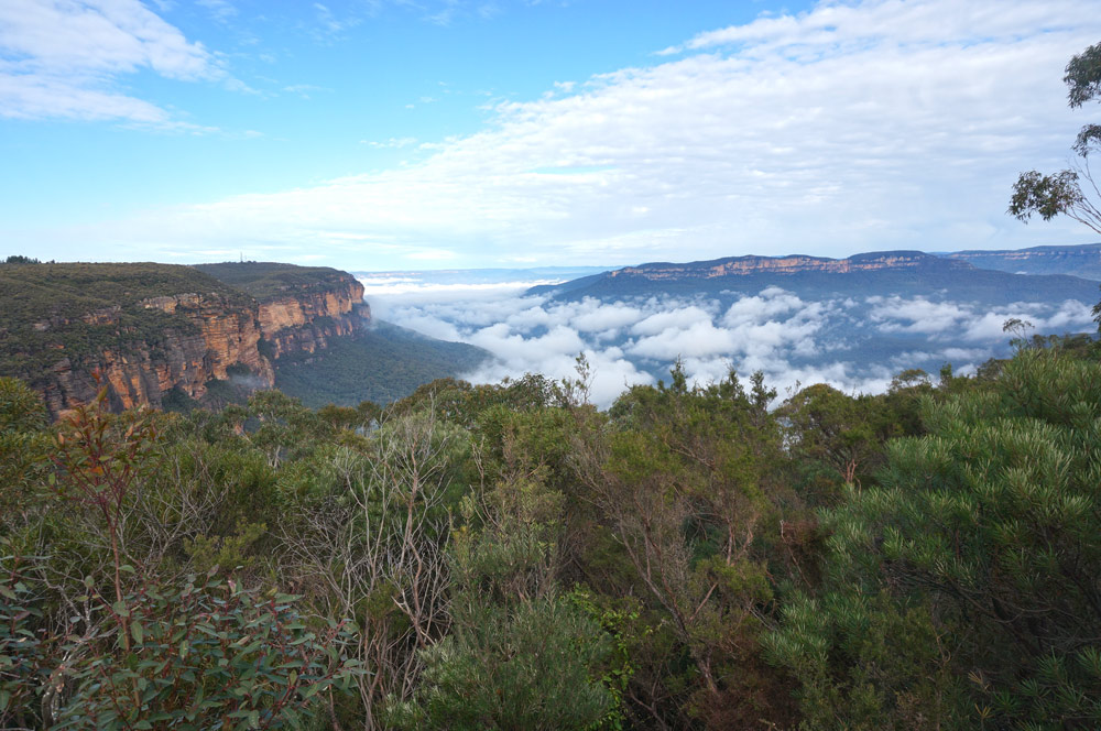 A vast sky above the tree covered Blue Mountains in Australia