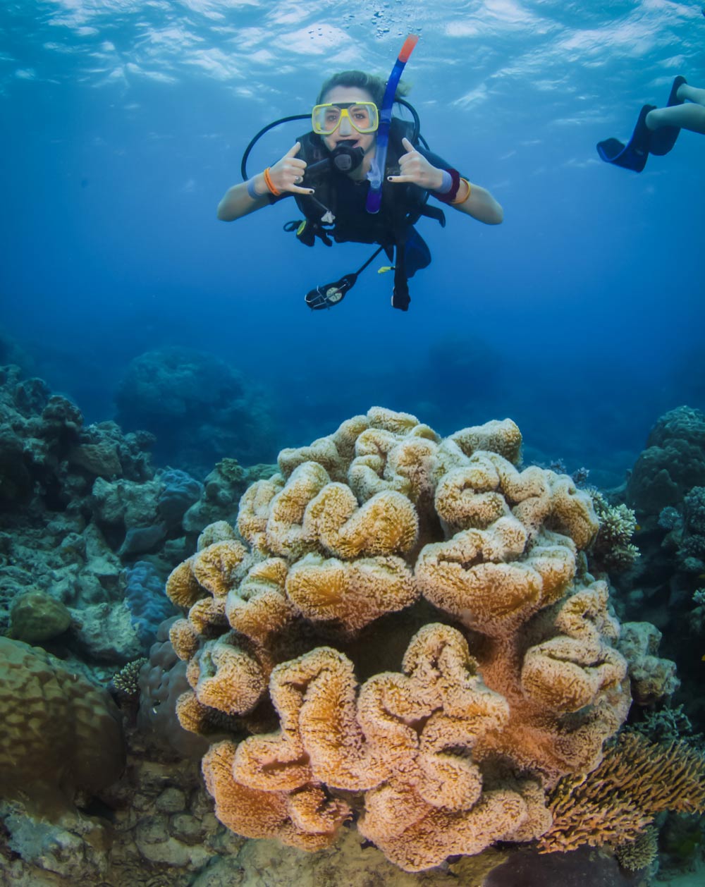 A woman enjoys diving in the Great Barrier Reef amongst the coral 