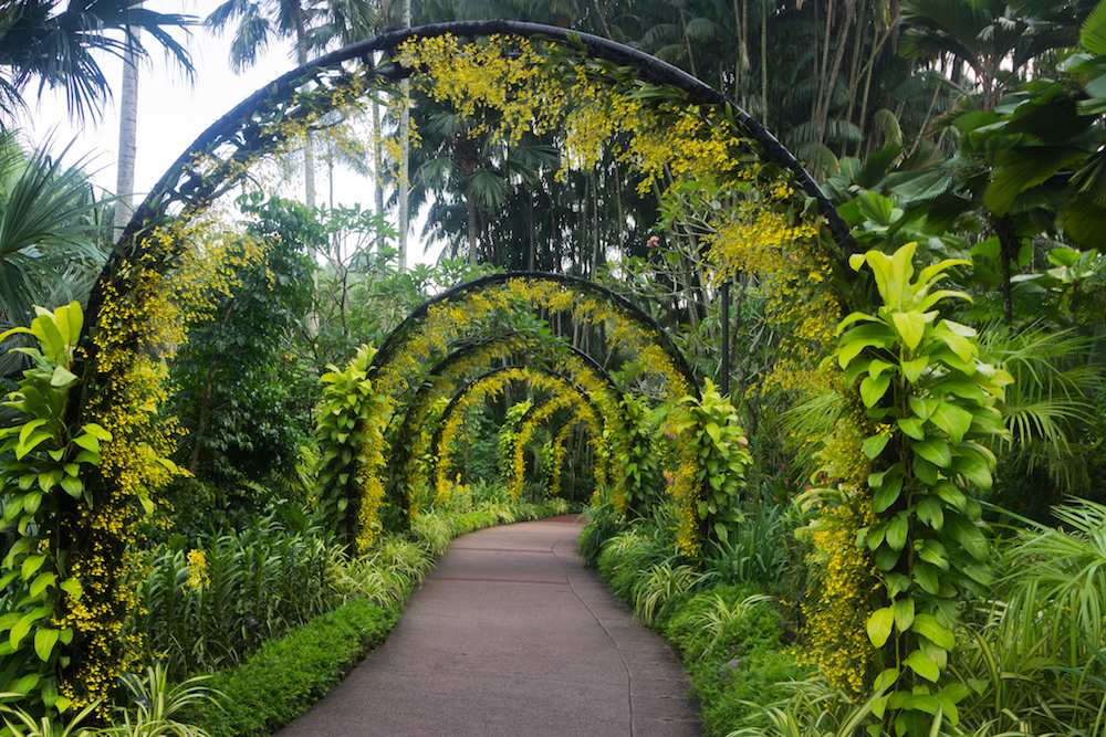 Singapore Botanic Gardens