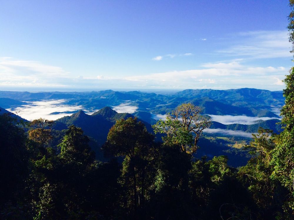 View from the top of Mount Warning