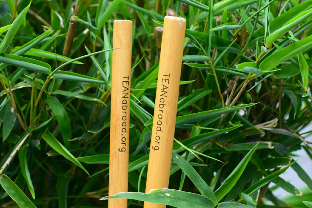 TEAN's bamboo straws