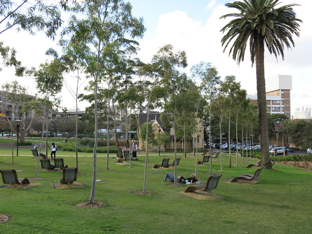 Students relaxing on the University of Sydney campus