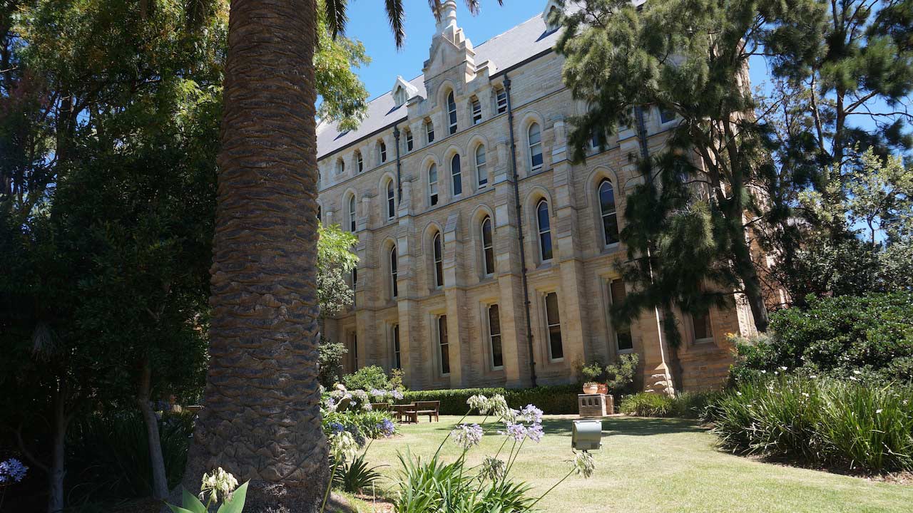 A building on ICMS's campus tucked behind foliage on a sunny day