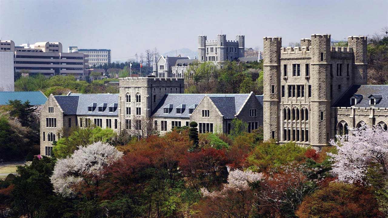 Tops of trees and buildings on Korea University's campus