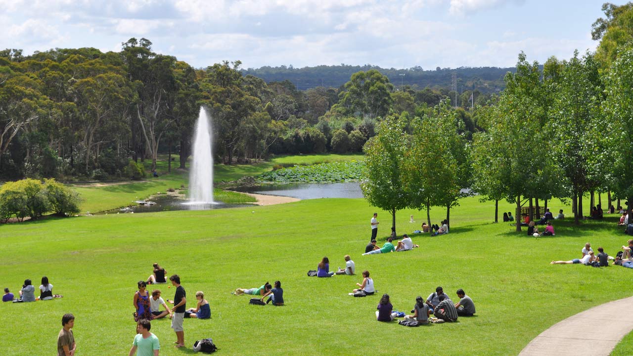 Study Abroad Macquarie University TEAN Abroad