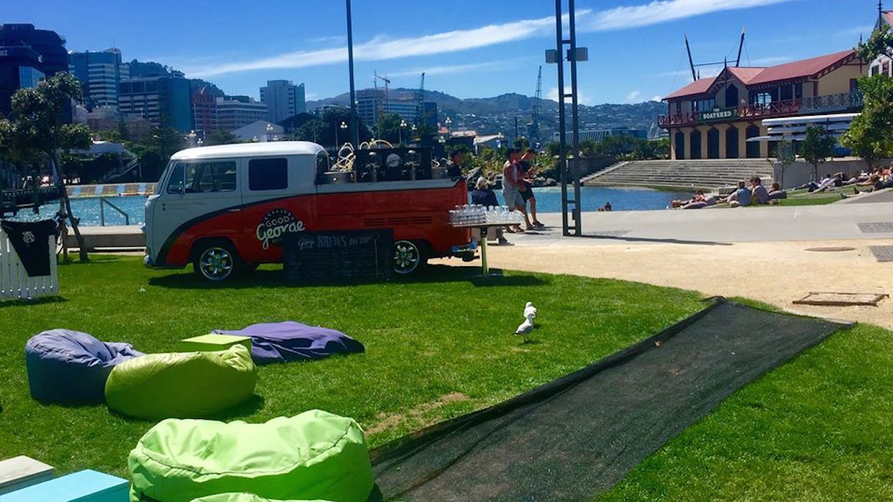 Students relax on grassy quad near body of water on Massey University Wellington's campus