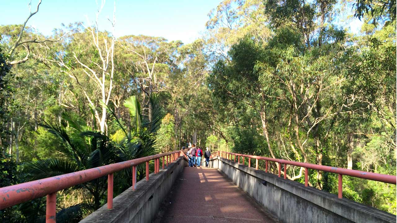 Students walk along a bridge with red iron railings on University of Newcastle's campus