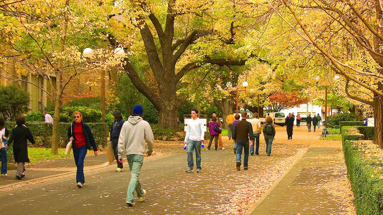 People stroll along a pathway amongst yellow and orange autumn leaves