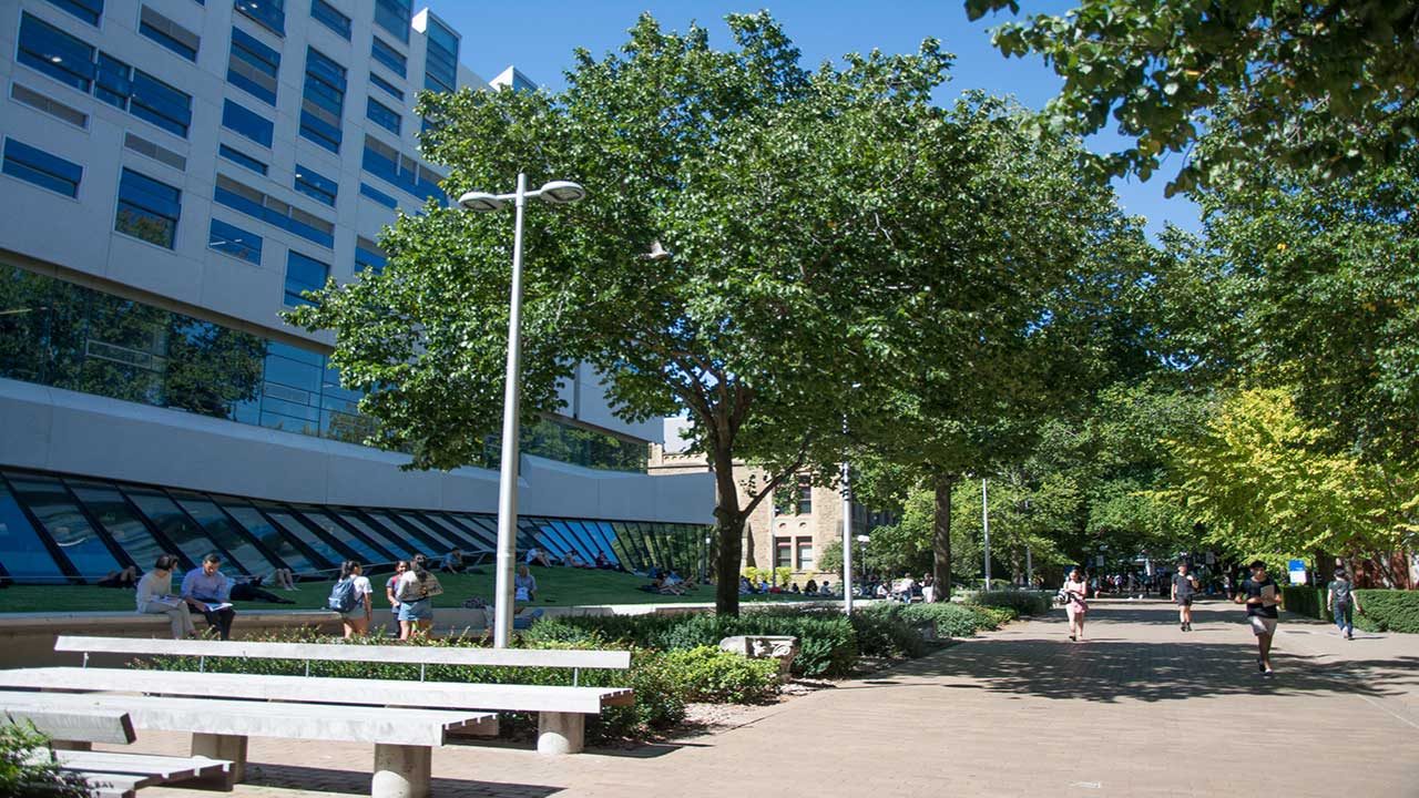 A few students walking on a tree lined pathway on University of Melbourne's campus