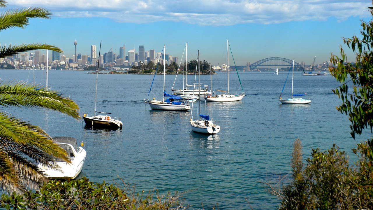 Sailboats docked in the harbour with the Sydney Bridge and city skyline in the background