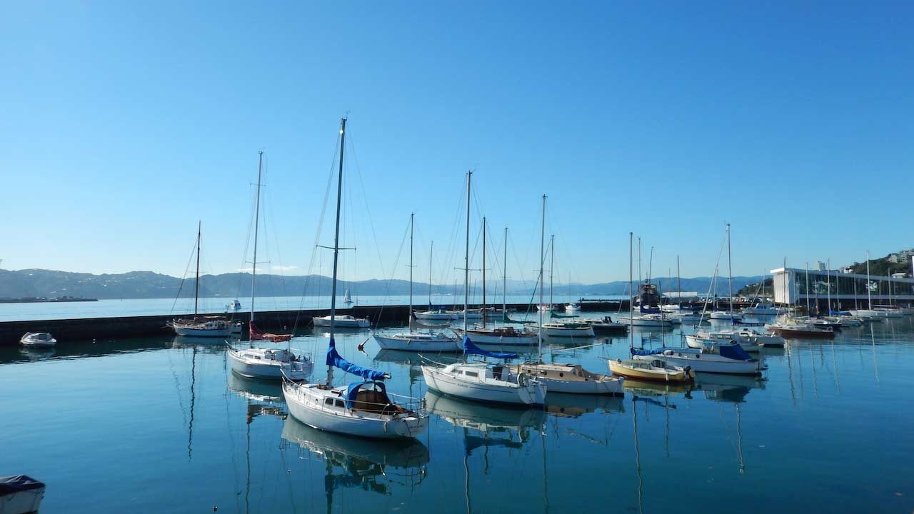 Sailboats docked on crystal clear water in Wellington, New Zealand