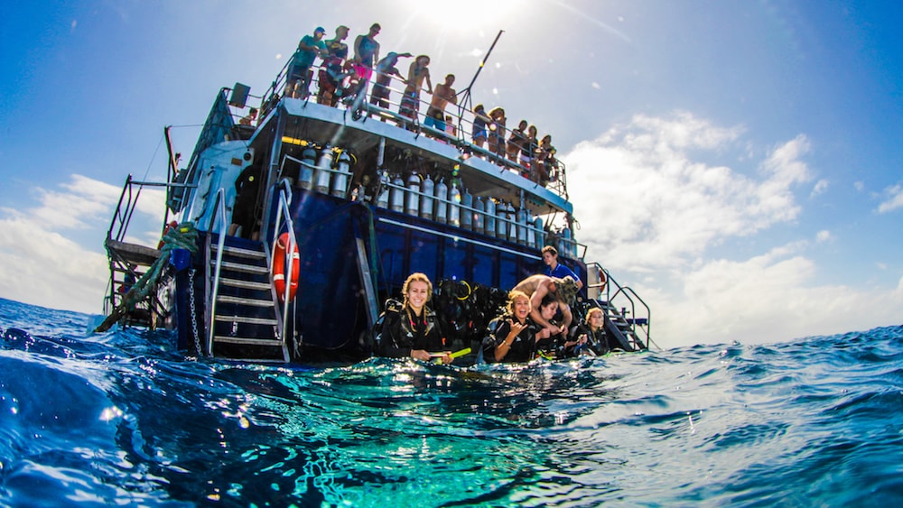 Day on the Great Barrier Reef in Australia