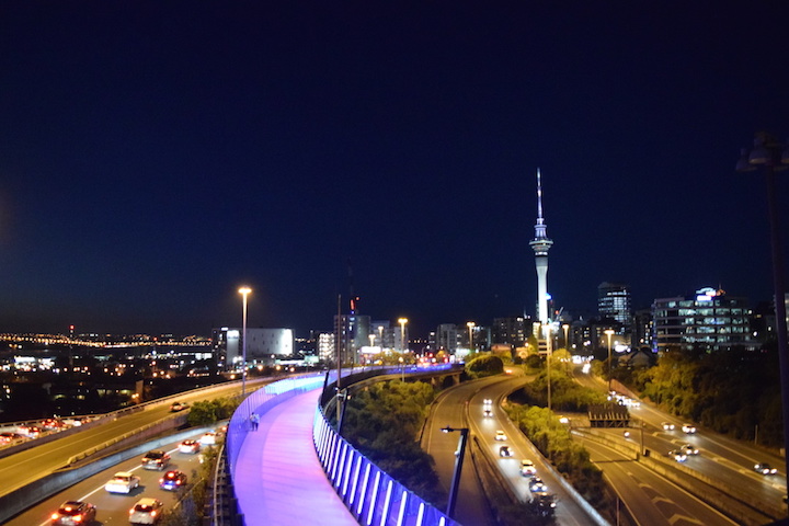 5 Best Places For A Run in Auckland - TEAN