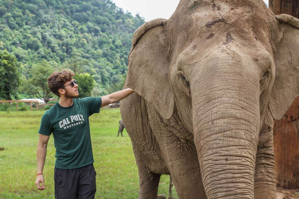 Elephant Nature Park with Cal Poly student