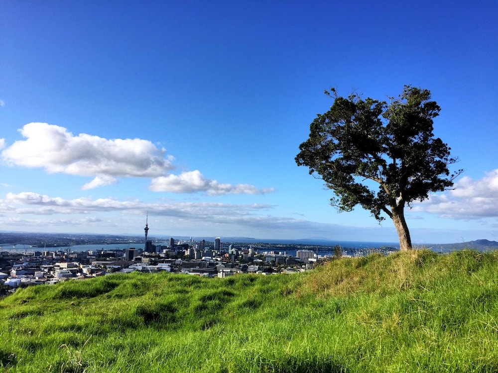 View of Auckland from Mount Eden 