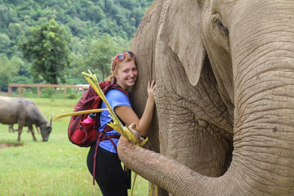 Elephant Nature Park ethical elephant tourism