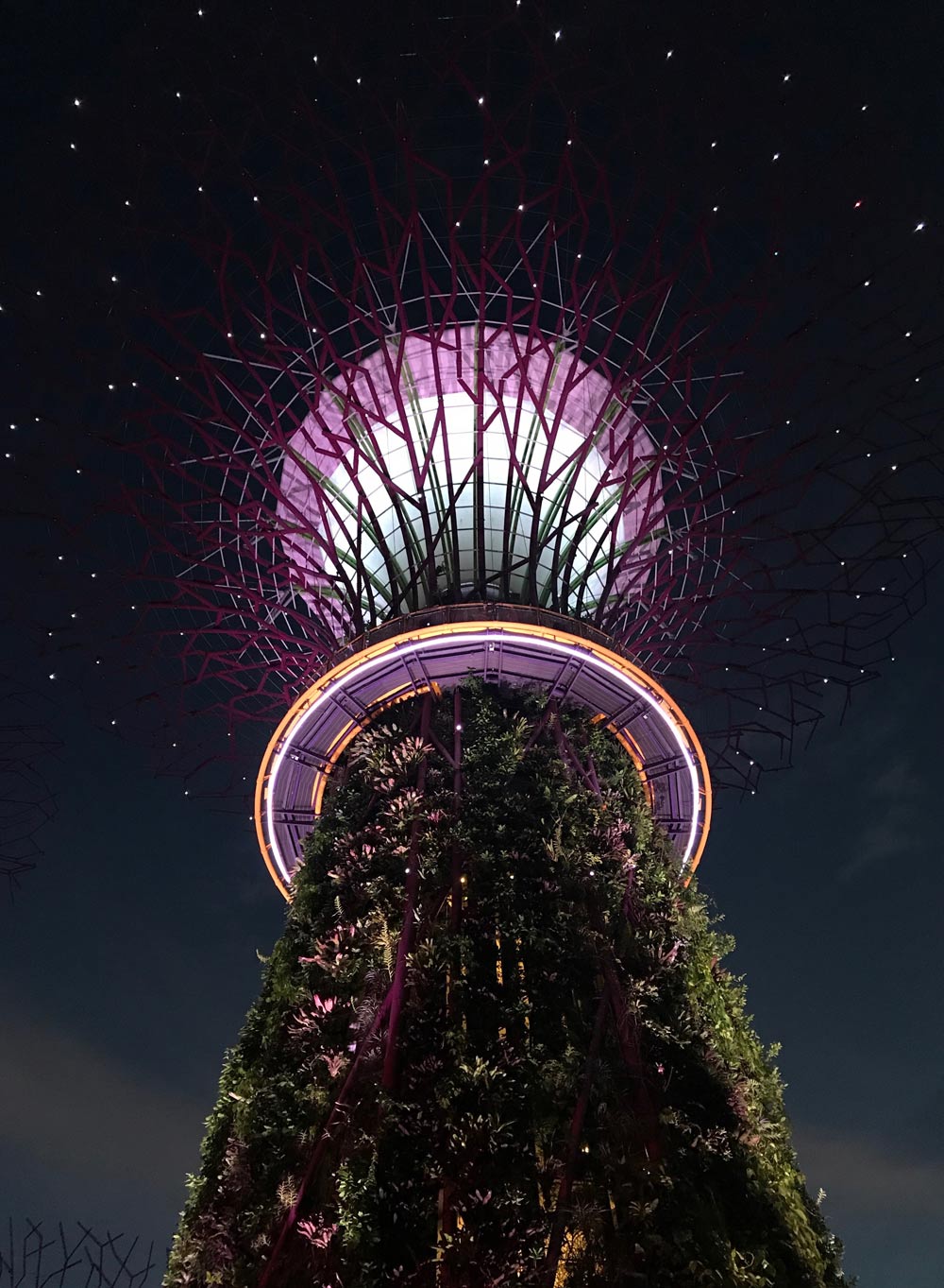 Gardens by the Bay in Singapore at night