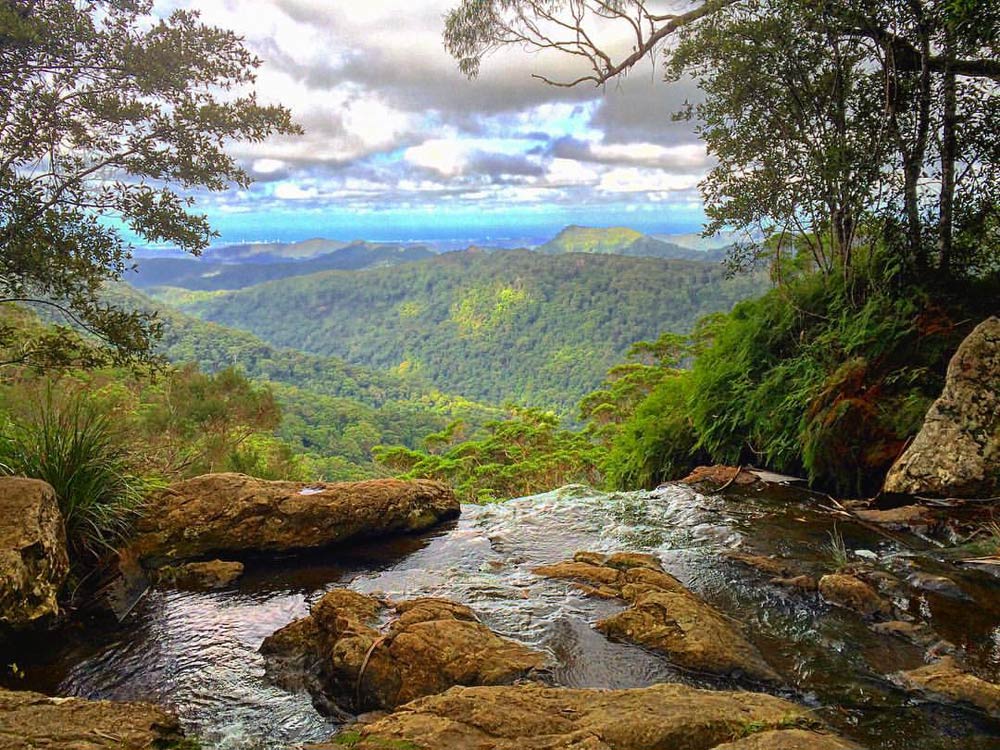 Springbrook National Park