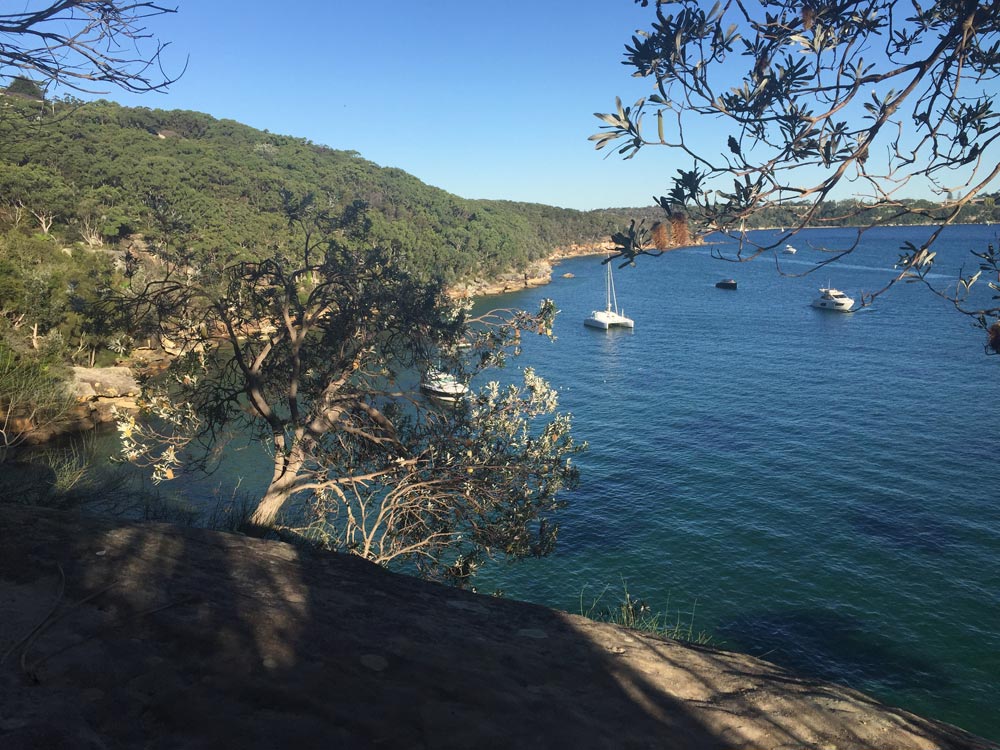 Manly Spit hike in Sydney